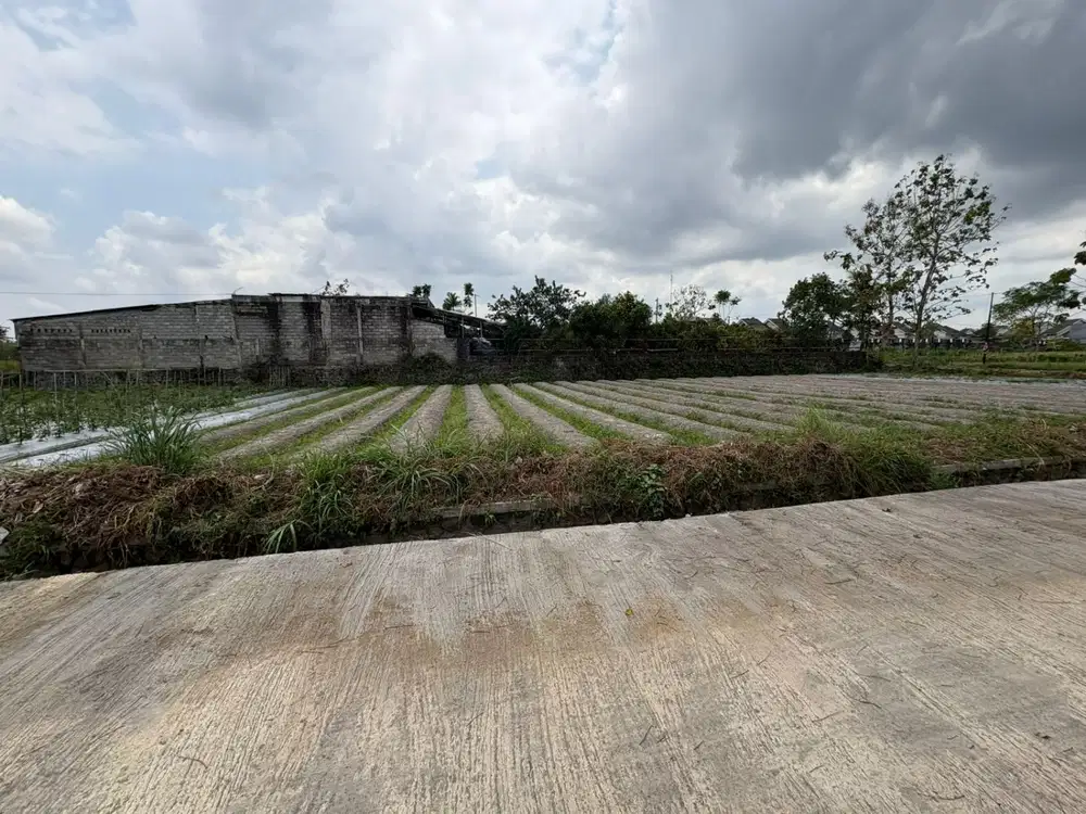 2 jtan dekat UII kaliurang cocok bangun rumah villa