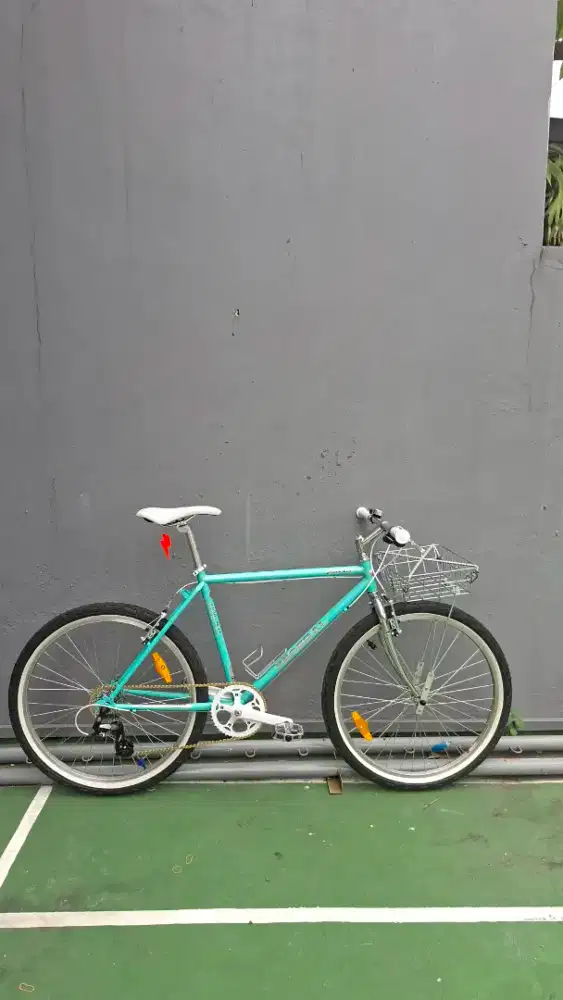 FEDERAL STREET CAT KALCER