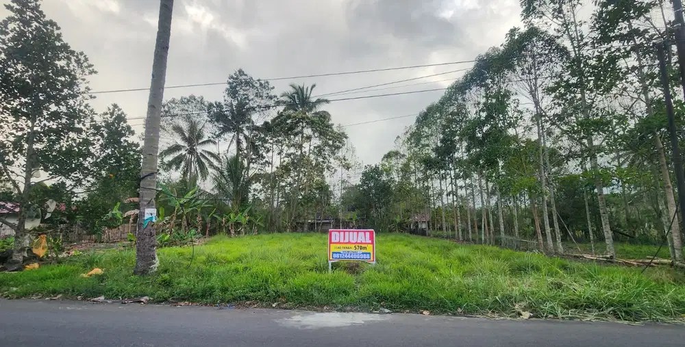 TANAH USAHA 570m² LELEKO REMBOKEN