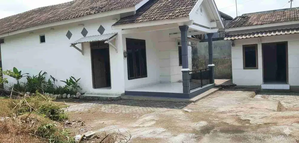rumah di sewakan murah