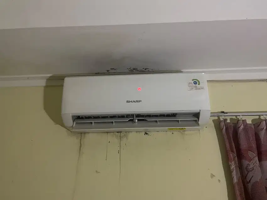 Ac sharp 1/2 pk second
