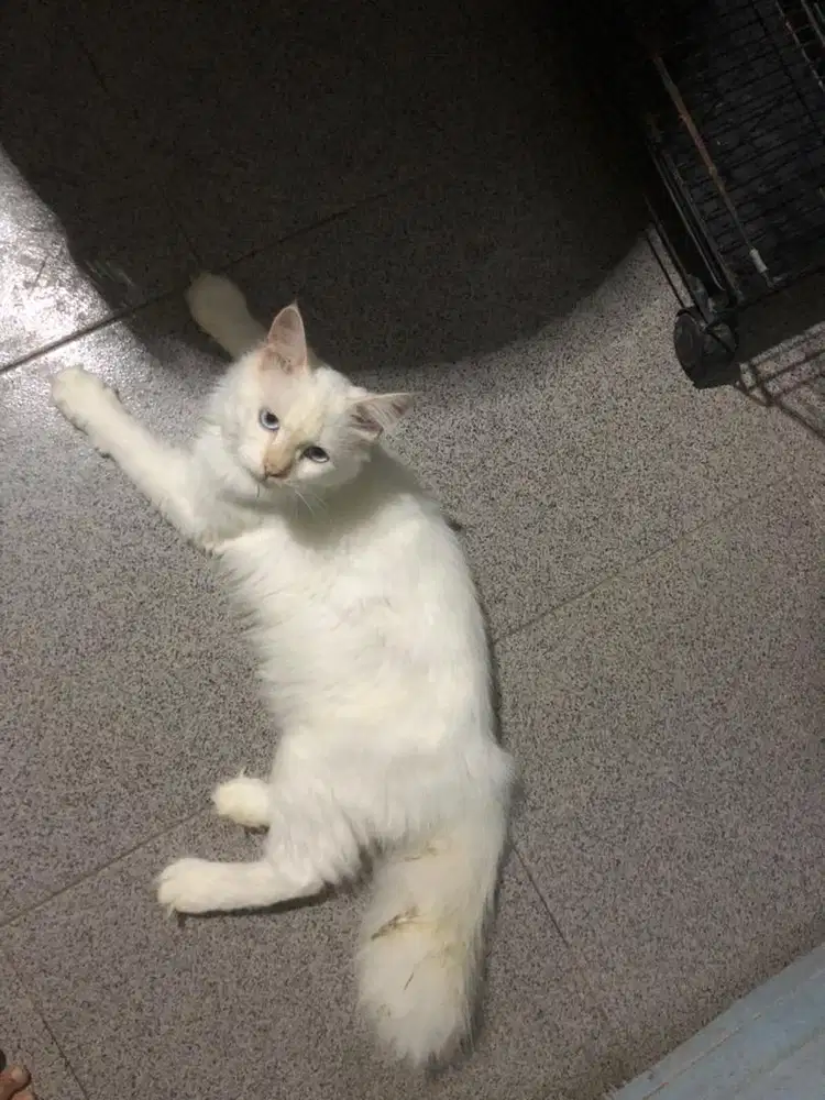 DISKON KHUSUS HARI INI