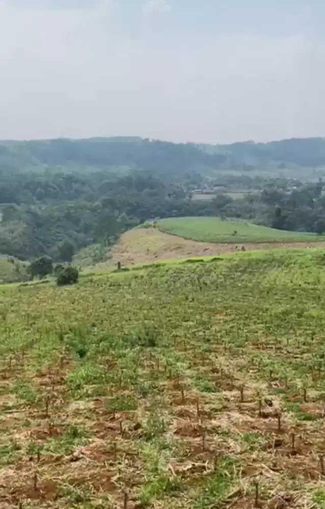 LAHAN 84 HEKTAR SIAP PAKAI, CIKEMBAR, KABUPATEN SUKABUMI, JAWA BARAT
