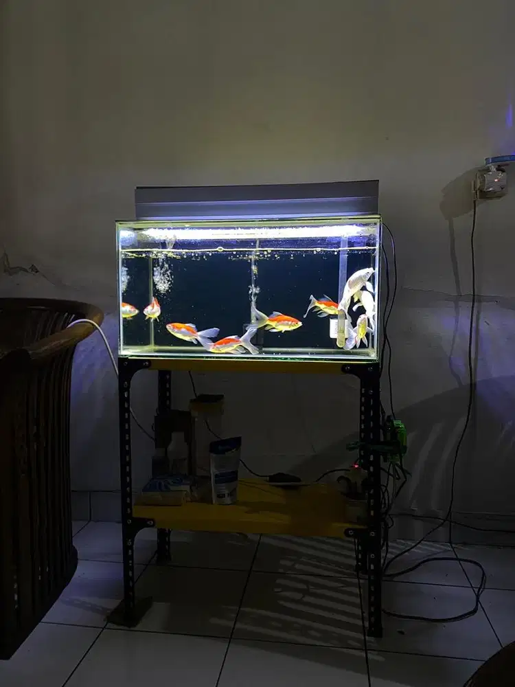 Paket Aquarium 60x30x30 Fullset Lengkap Meja Besi & Filter Talang