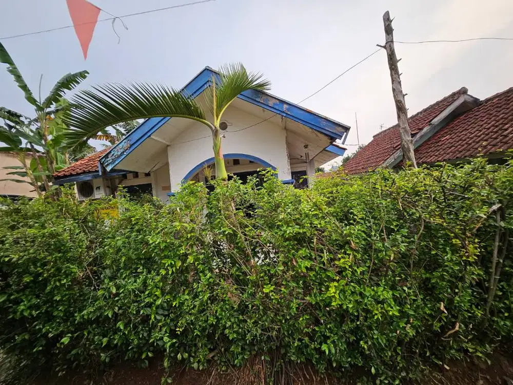Rumah lama dijual cepat bisa nego