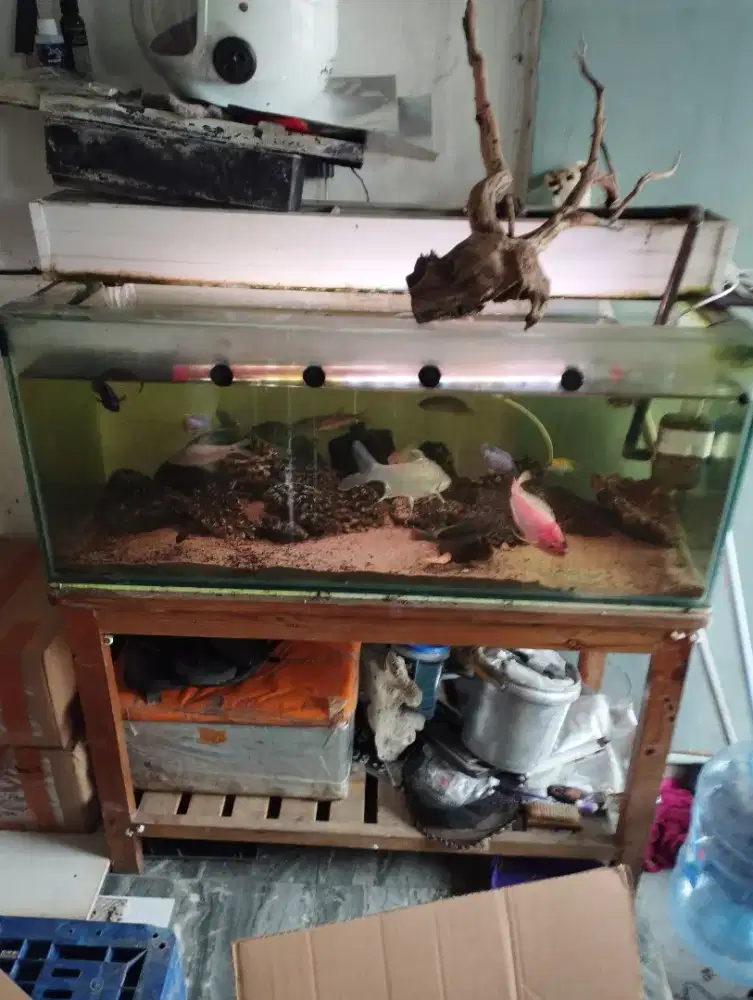 Akuarium ukran 10x40x40 tebal 8m dasar 1cm