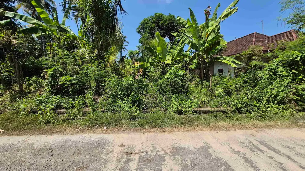 TANAH 7 ARE PINGGIR JALAN DI CUPEL JEMBRANA