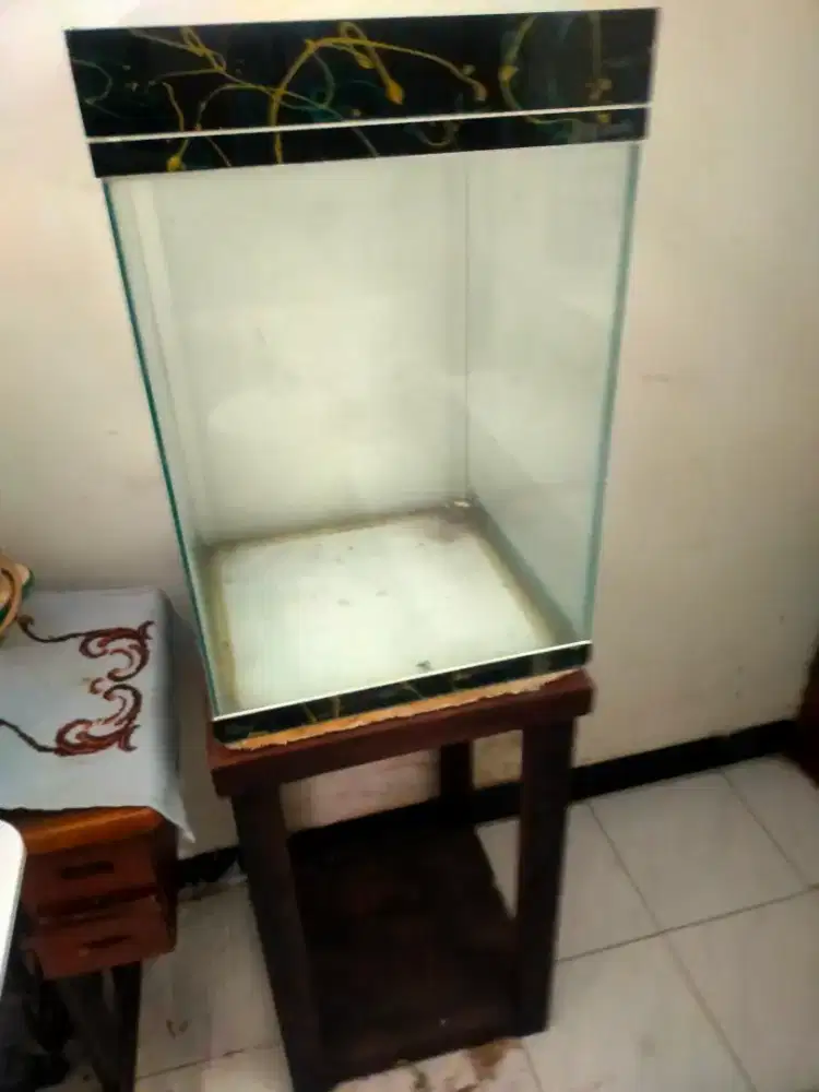 Aquarium tinggi plus meja