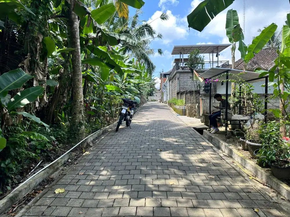TANAH MURAH DI PAYANGAN  UBUD GIANYA KAWASAN VILLA