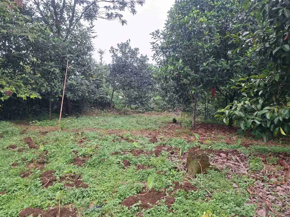 jual tanah murah LT 903m², proses shm, akses masuk mbl