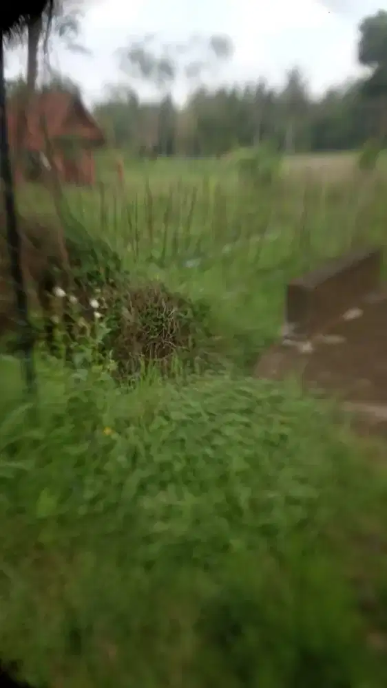 Dijual murah di pandanpuro Hargobinangun pakem jl boyong