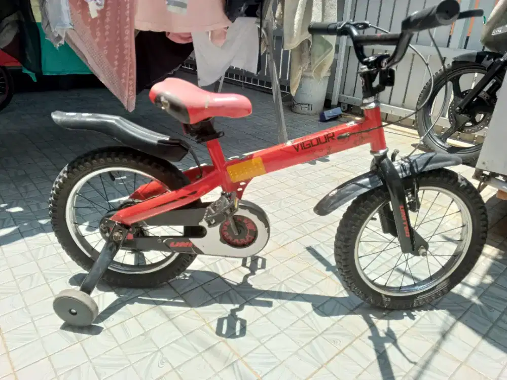 Sepeda anak united