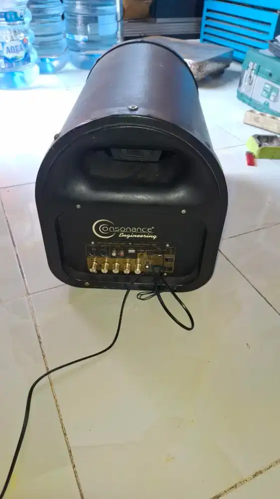 Speaker bluettooth karaoke 10inch