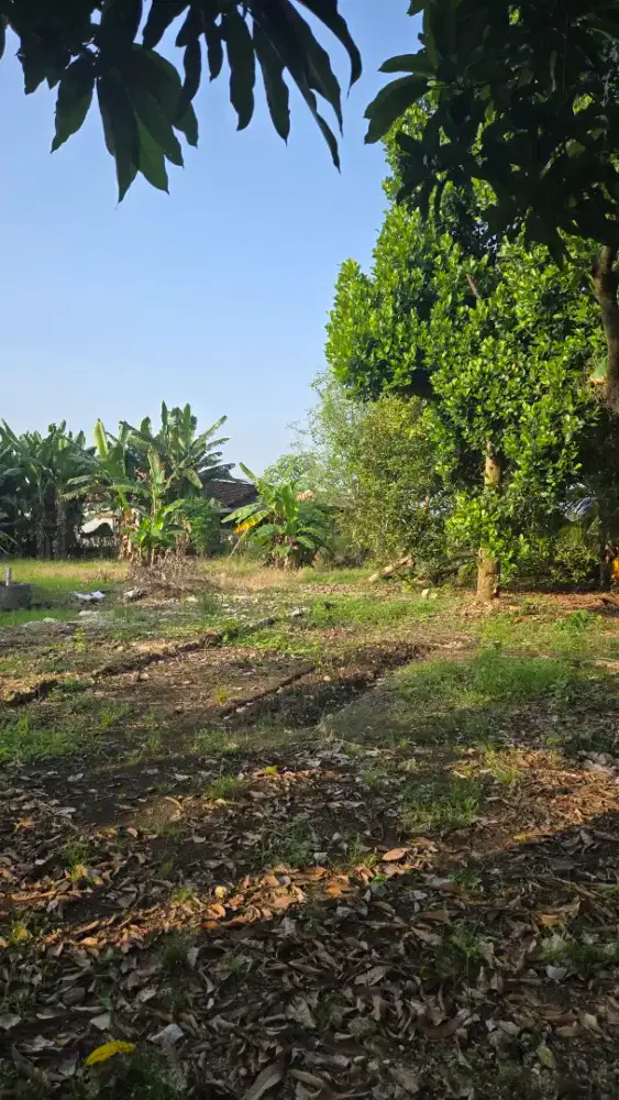 Jual Tanah dekat kampus univ sunan gresik. Nego.