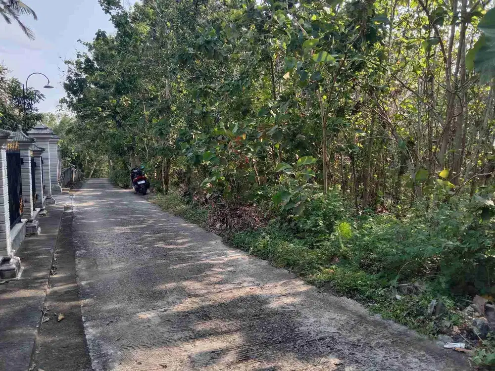 JUAL TANAH DI GIRIPENI WATES KULONPROGO