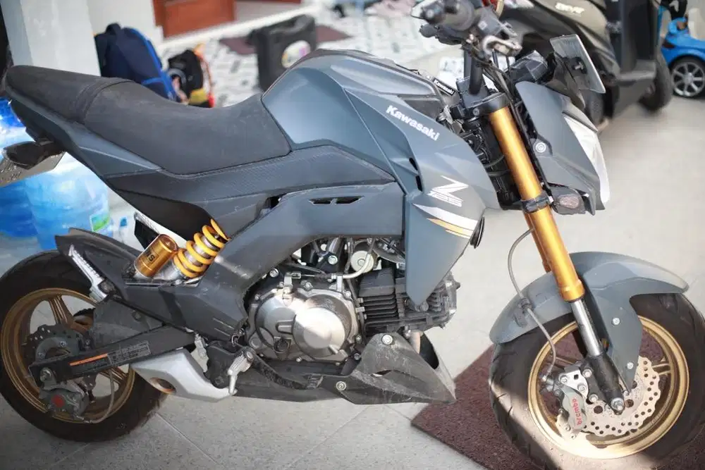 Kawasaki Z125 Tahun 2024