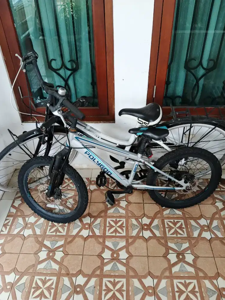 Sepeda polygon sierra Dan maze