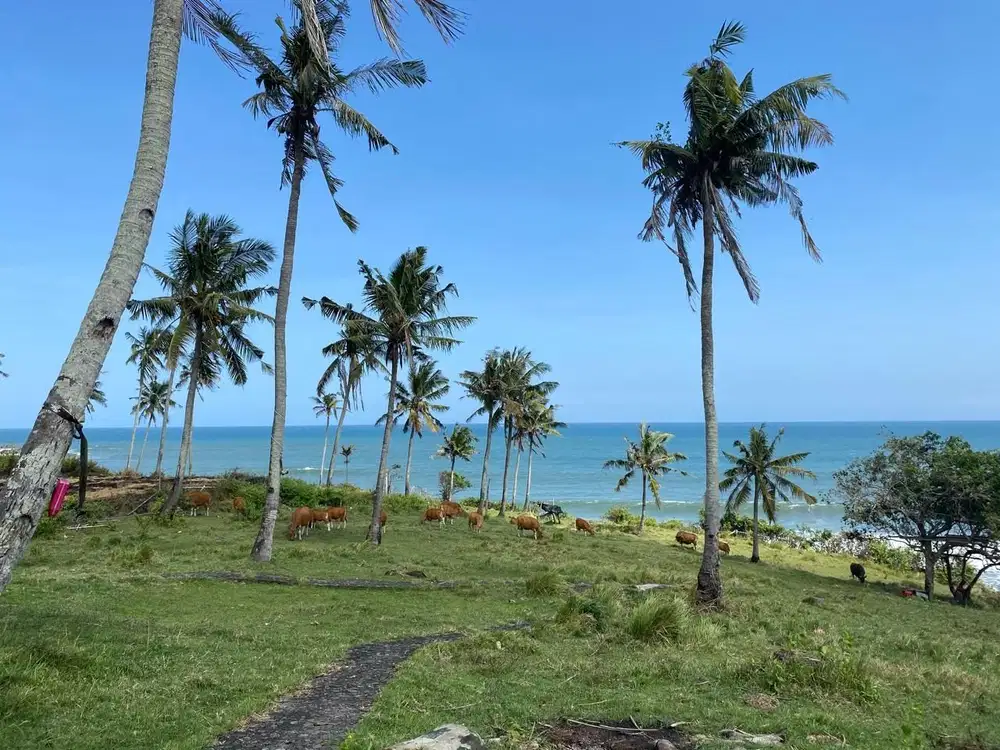 For sale beach front land