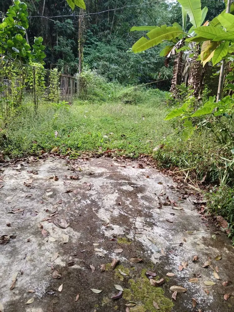 BU SEGERA Tahah SHM di Pakem Sleman dekat Wisata Kaliurang