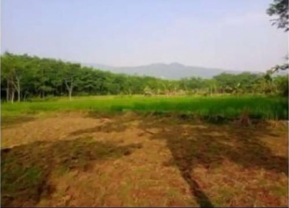 Jual Lelang tanah 5 ha, Jonggol kab.Bogor