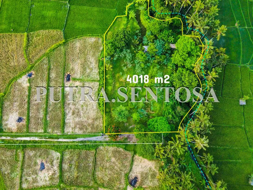 TANAH UBUD LODTUNDUH VIEW SAWAH LOS SUNGAI