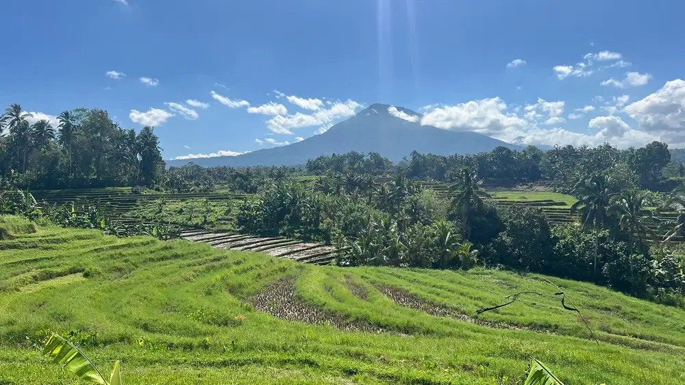 Di jual tanah dengan view gunung dan sawah