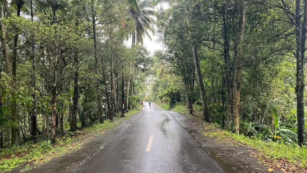 Di jual tanah dengan view sawah di kawasan desa wisata eco torism