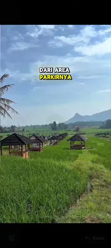 Kavling sawah estetik produktif di Bogor