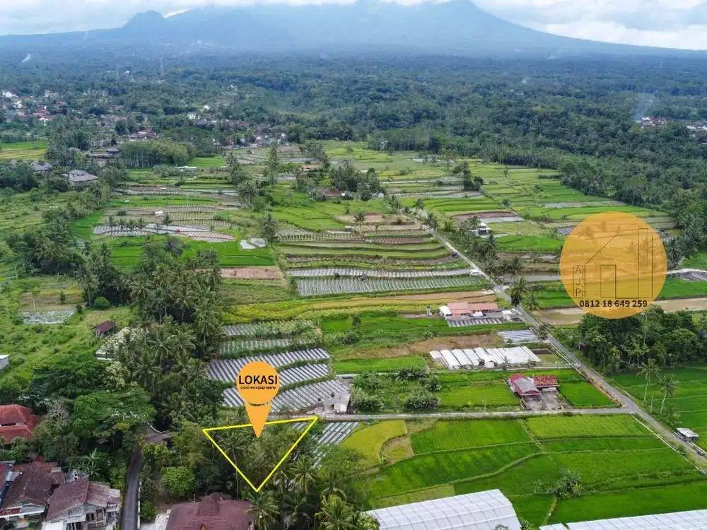 Jual Tanah Pinggir Sungai View Gunung Udara Sejuk Pakem