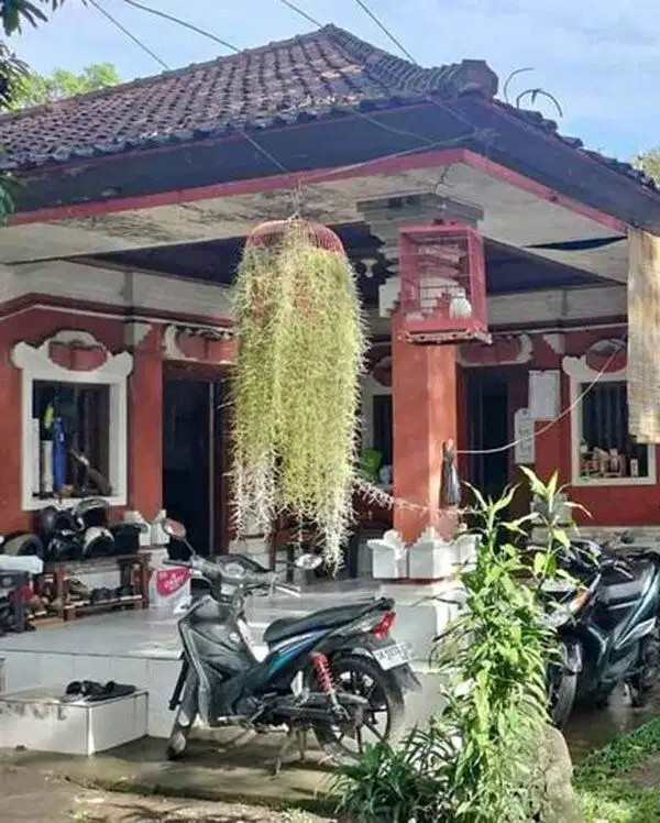LSH-001.DYH Disewakan Jk Panjang Tanah Pinggir By Pass Sanur Min 25 Th