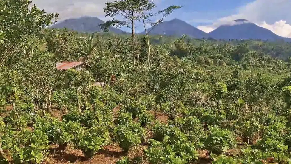 Dijual tanah dengan view 3 gunung