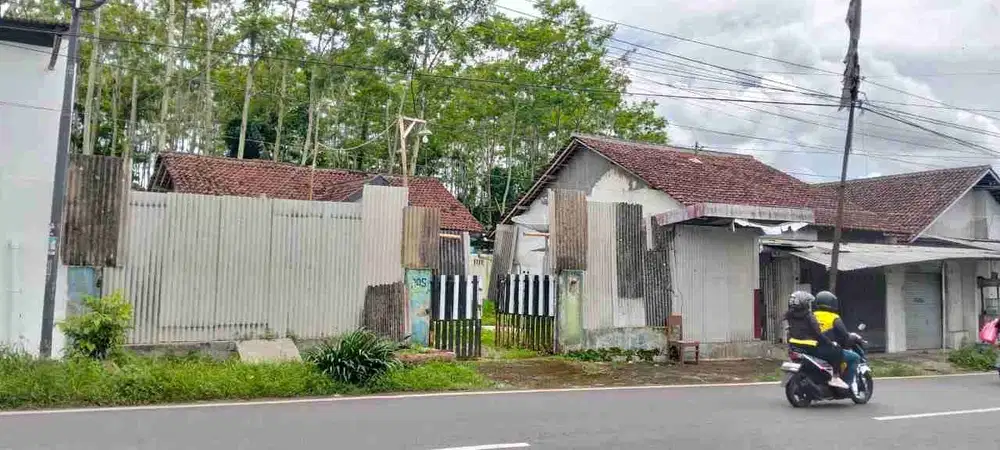 TANAH 489 BONUS RUMAH LOKASI PINGGIR JALAN SEMPUSARI JEMBER