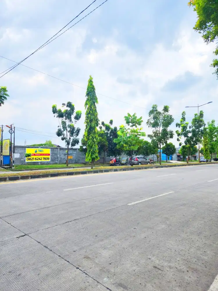 Tanah Di Jual Didaerah Cemara