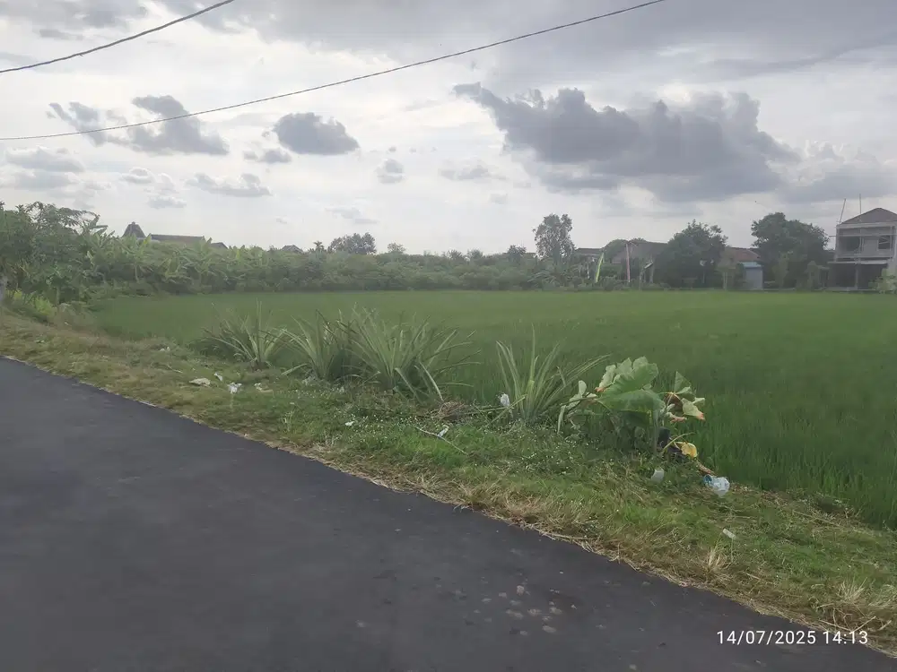 TANAH STRATEGIS WIRUN MOJOLABAN