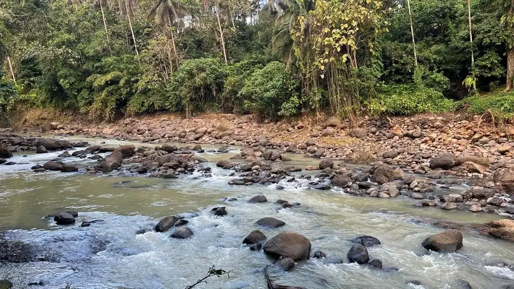 Di Jual Tanah Los Sungai di Kawasan Pariwisata