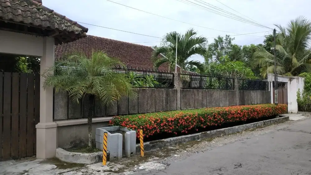 Kertanegara Kaliwates Jember Strategis