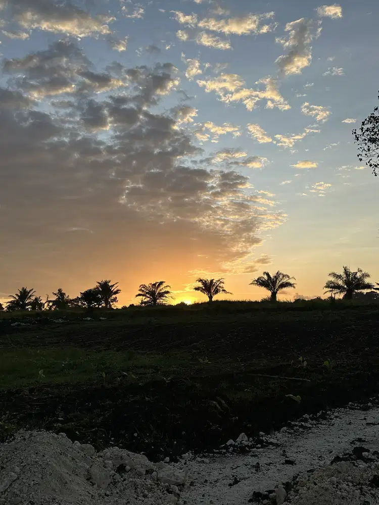 LAND FOR SALE KEDUNGU RICEFIELD VIEW SUROUND