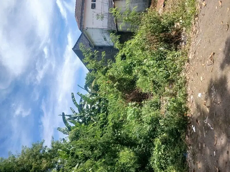Tanah SHM daerah Jl Kaliurang km 5 dekat Kampus UGM dll