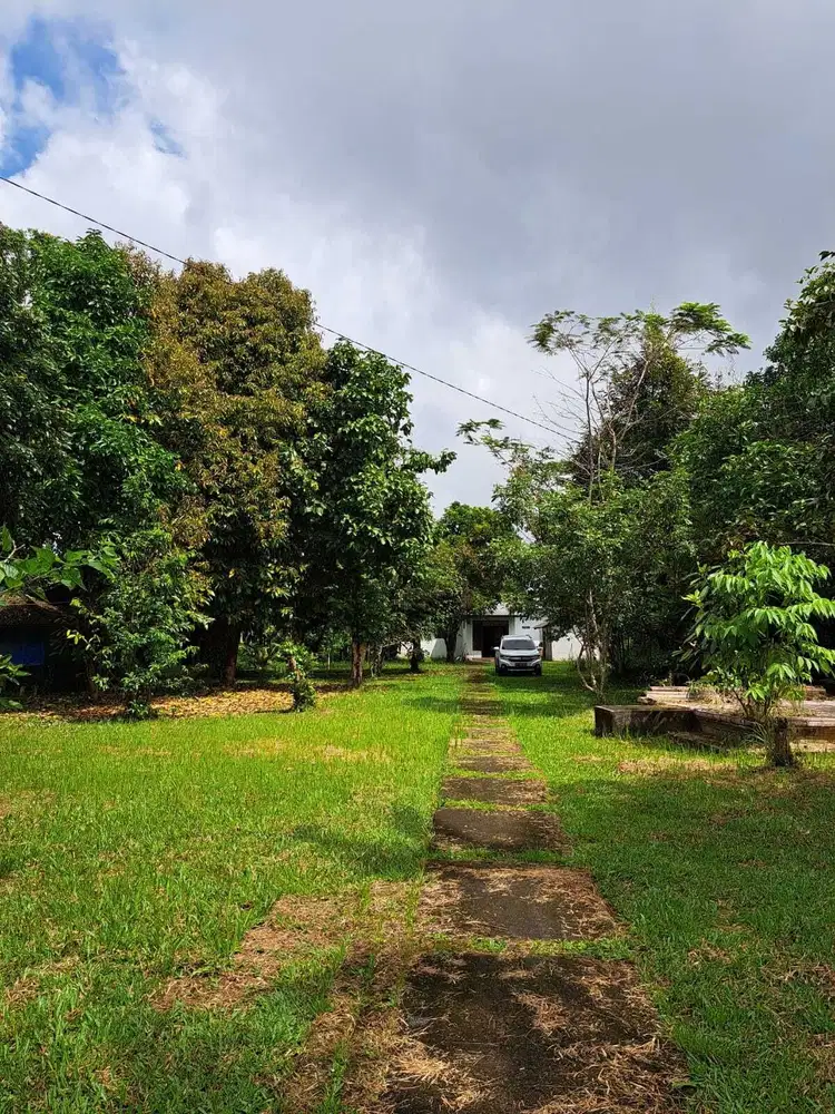 DIJUAL TANAH STRATEGIS TABANAN – PENEBEL