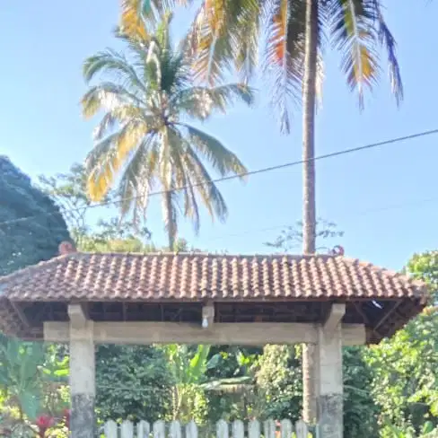 Villa kebun di Wonosalam Jombang, Jatim