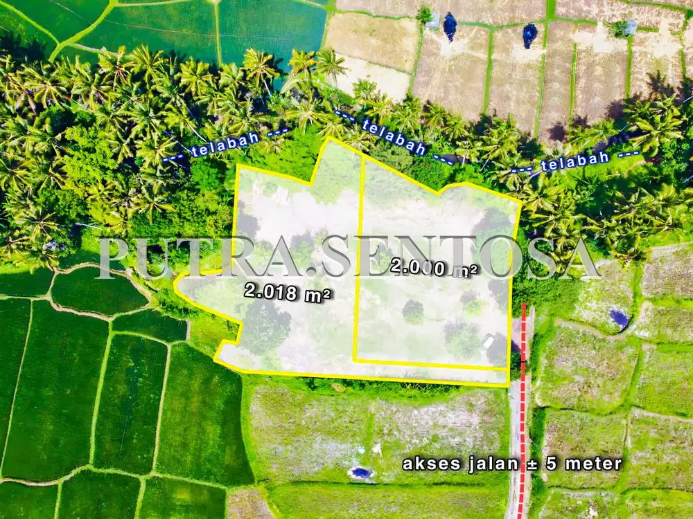 TANAH UBUD LODTUNDUH LOS SUNGAI