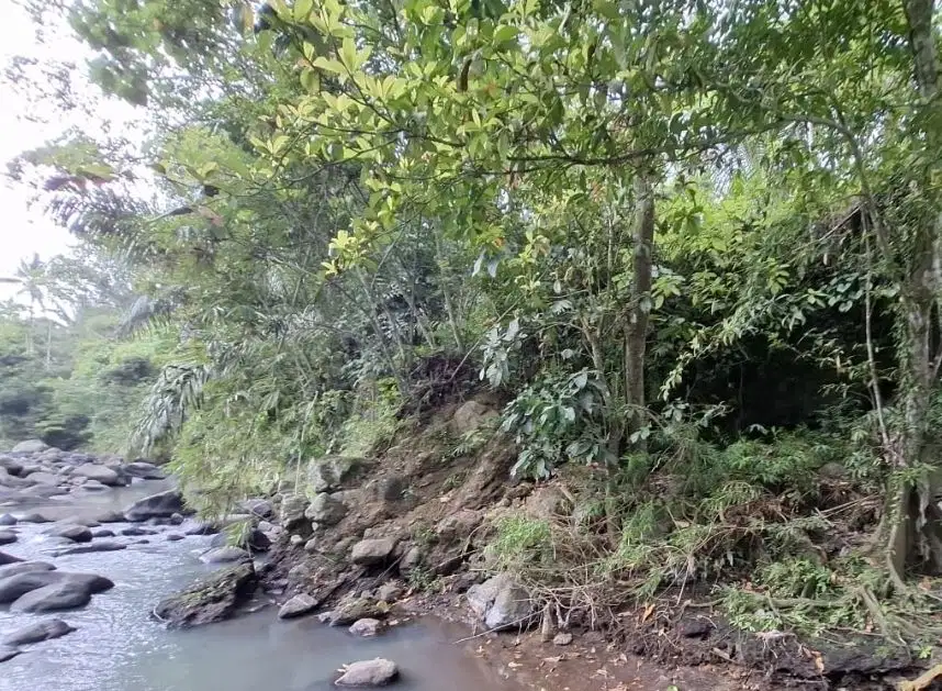 Tanah kebun los sungai jernih berbatu