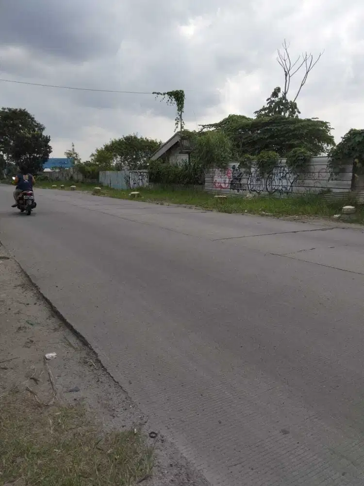 HOT SALE Lahan Pinggir jln Raya SHM Gn Sindur Kab. Bogor CL 523