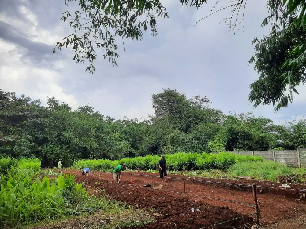 Tanah Kavling Dekat perumahan Citra Grand Cibubur/CBD, SHM Pecah
