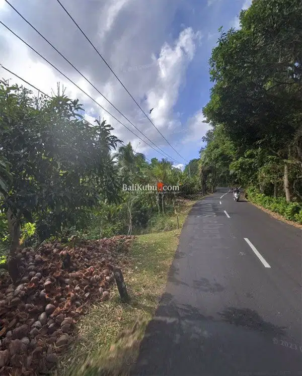 [AMS-015.KWN] Jual Tanah Kebun 1 Ha di Jl Surabrata Selemadeg Tabanan