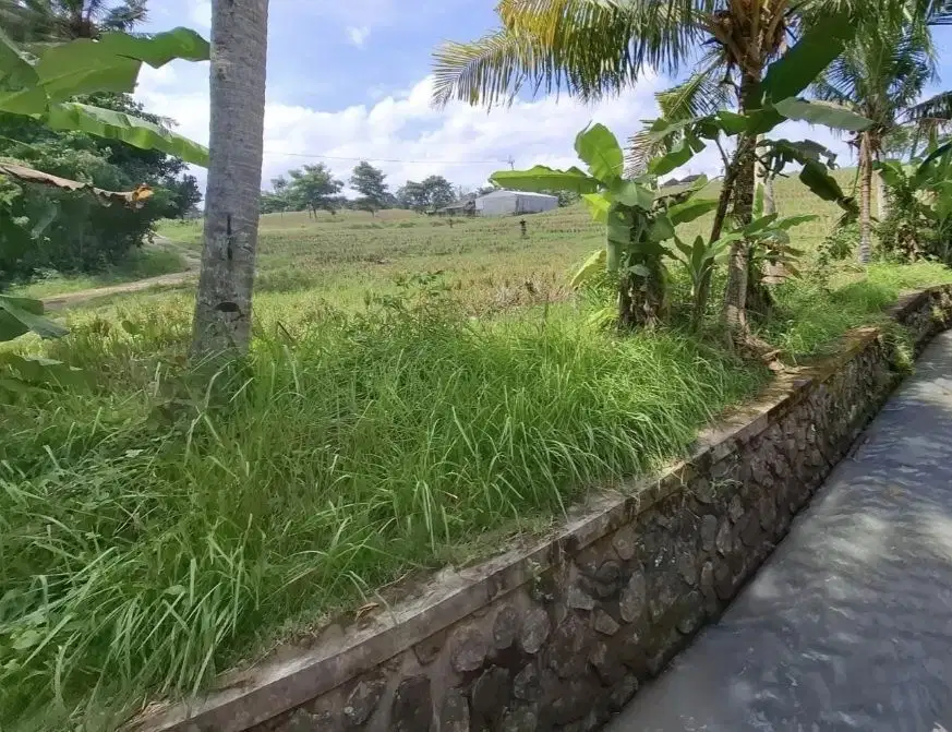 Dijual tanah luasan kecil dekat wisata pantai di selemadeg