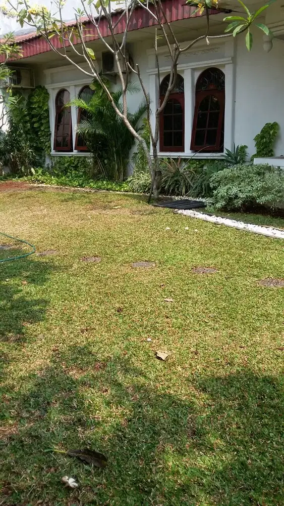 Jual Cepat Rumah di Saidi Jakarta Selatan