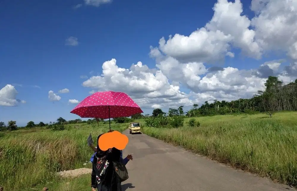 Tanah SHM Luas 25 Ha Dijual Murah Ada Jalan Aspal di Taktakan - Serang