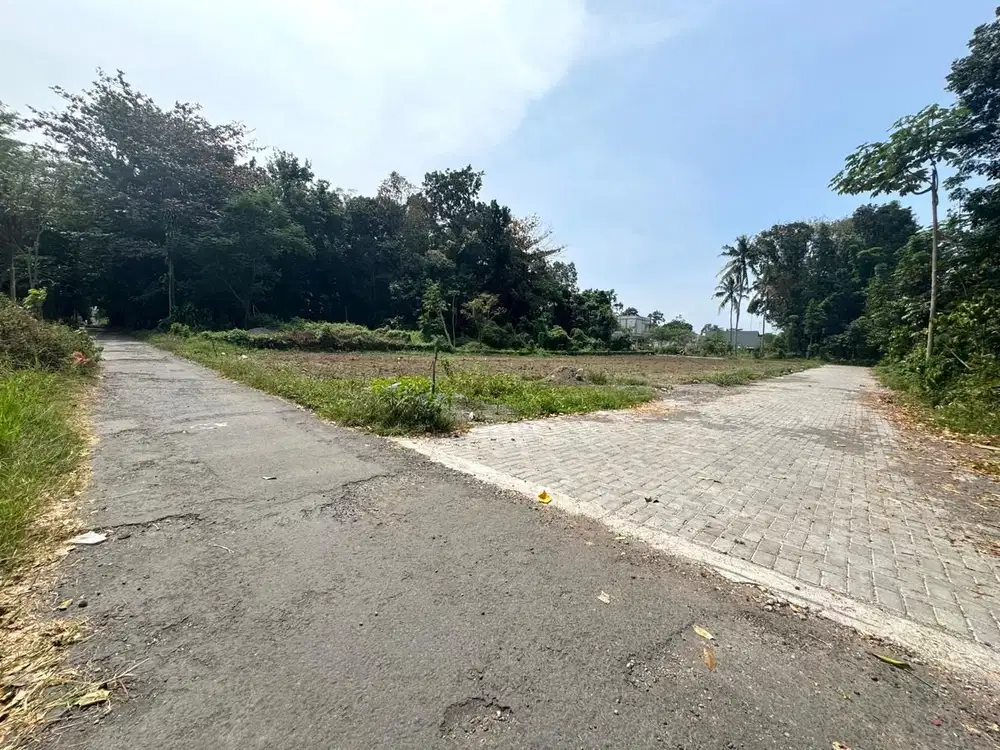 Lingkungan Kos Kampus, Tanah Sleman Jogja SHMP