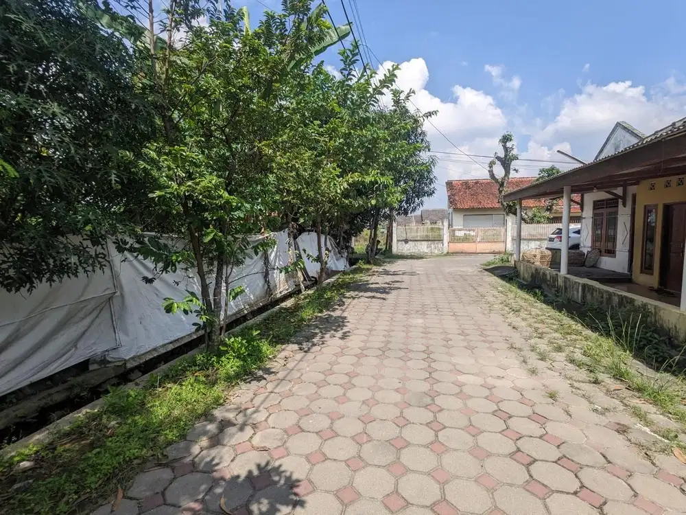 Tanah Pekarangan Murah di Jalan Kabupaten Sleman